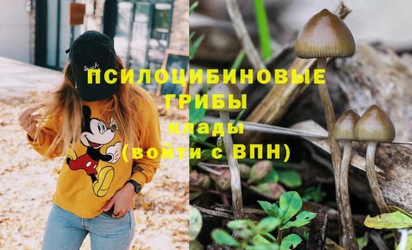 метамфетамин Алексин