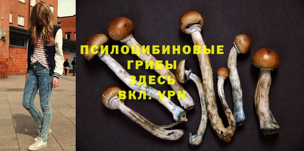 не бодяженный Алзамай