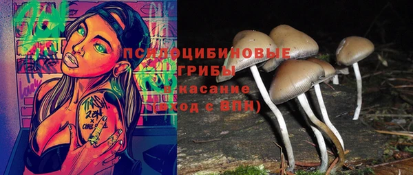 метамфетамин Алексин