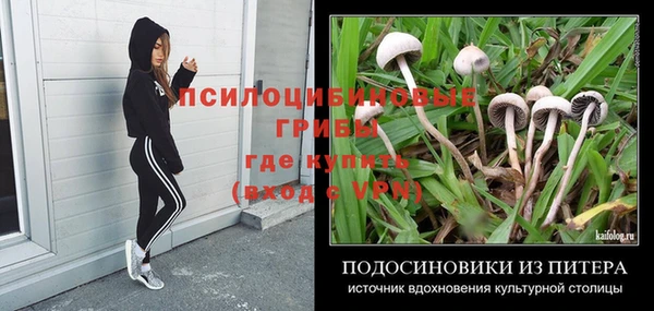 не бодяженный Алзамай